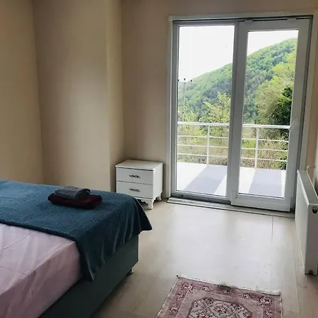 Sapanca Grand Vadi Kapali Isitma Havuzlu Villa Fevziye (Sapanca)