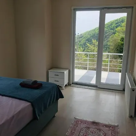 Sapanca Grand Vadi Kapali Isitma Havuzlu Villa Fevziye (Sapanca)