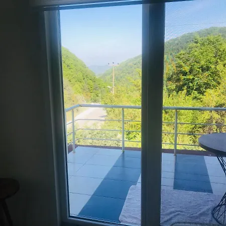 Sapanca Grand Vadi Kapali Isitma Havuzlu