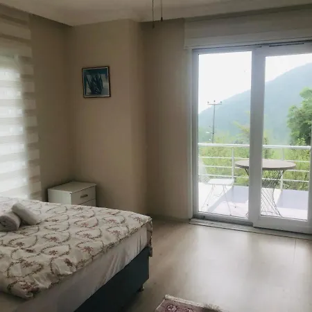 Sapanca Grand Vadi Kapali Isitma Havuzlu Villa *