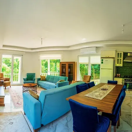 Sapanca Grand Vadi Kapali Isitma Havuzlu Villa Fevziye (Sapanca)